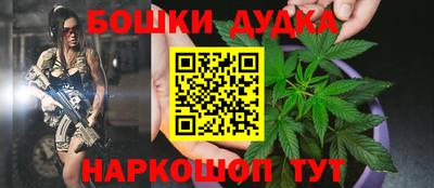 сатива Кулебаки